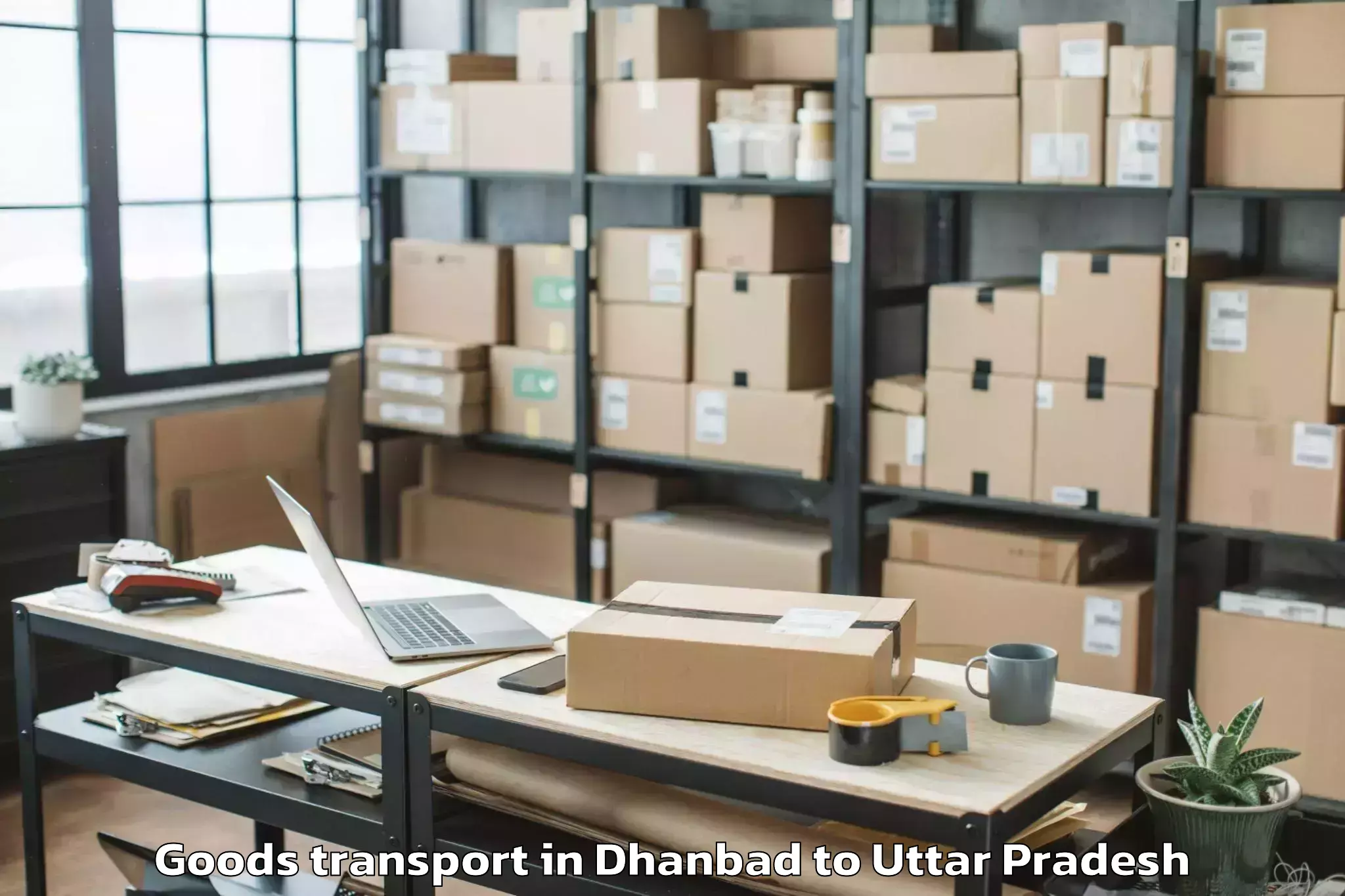 Top Dhanbad to Iit Kanpur Goods Transport Available